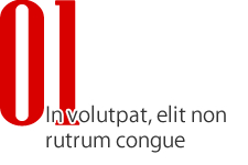 ボタン・特徴01