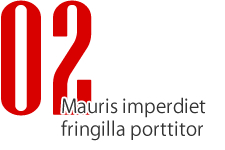 ボタン・特徴02