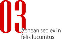 ボタン・特徴02