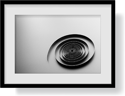 ゼンマイ、イメージ