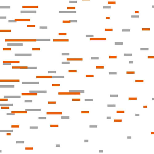 Max Mara ／ マックスマーラ