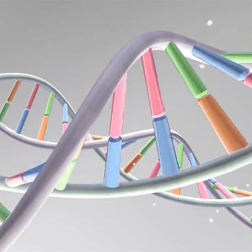 Evolution‚ Reproduction and Immune Recognition